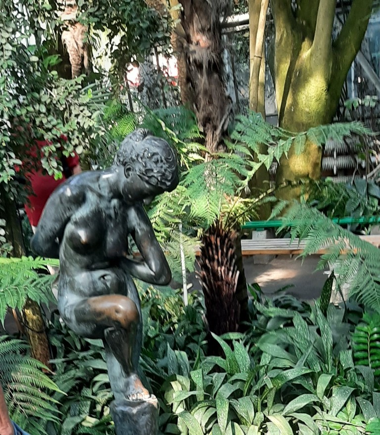 8.jpg 