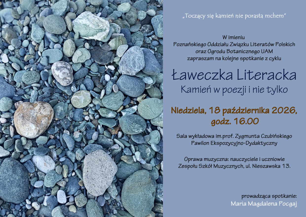 kamień plakat STR.jpg 